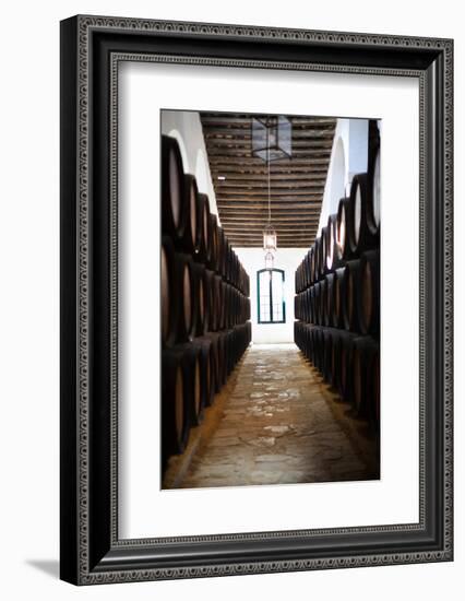 Sherry casks in a winery, Gonzalez Byass, Jerez De La Frontera, Cadiz Province, Andalusia, Spain-null-Framed Photographic Print