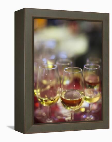 Sherry Tastings, Bodegas Gonzalez Byass, Jerez De La Frontera, Spain-Walter Bibikow-Framed Premier Image Canvas