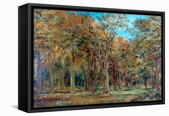 Sherwood Forest-Richard Sebastian Bond-Framed Premier Image Canvas