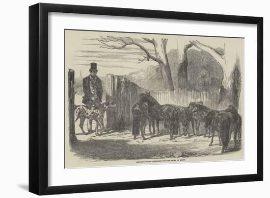 Shetland Ponies Purchased for the Pacha of Egypt-Harrison William Weir-Framed Giclee Print