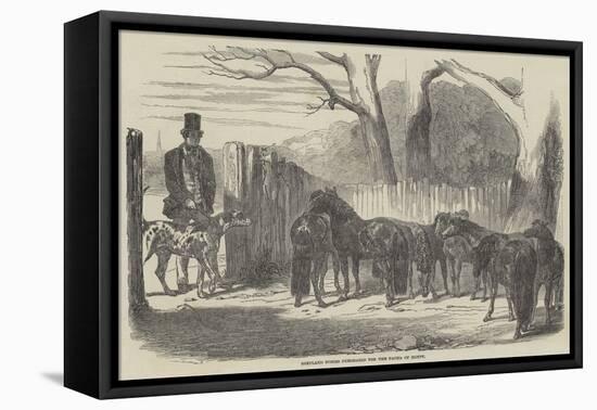 Shetland Ponies Purchased for the Pacha of Egypt-Harrison William Weir-Framed Premier Image Canvas