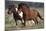 Shetland Pony 026-Bob Langrish-Mounted Photographic Print