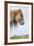 Shetland Pony on the Island of Foula, Part of the Shetland Islands in Scotland-Martin Zwick-Framed Photographic Print