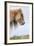 Shetland Pony on the Island of Foula, Part of the Shetland Islands in Scotland-Martin Zwick-Framed Photographic Print