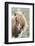 Shetland Pony on the Island of Unst, Part of the Shetland Islands in Scotland-Martin Zwick-Framed Photographic Print