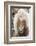 Shetland Pony on the Island of Unst, Part of the Shetland Islands in Scotland-Martin Zwick-Framed Photographic Print