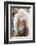 Shetland Pony on the Island of Unst, Part of the Shetland Islands in Scotland-Martin Zwick-Framed Photographic Print