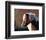 Shetland pony-null-Framed Art Print