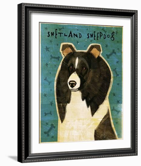 Shetland Sheepdog (Black & White)-John Golden-Framed Giclee Print