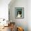 Shetland Sheepdog (Black & White)-John Golden-Framed Giclee Print displayed on a wall