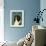 Shetland Sheepdog (Black & White)-John Golden-Framed Giclee Print displayed on a wall