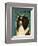 Shetland Sheepdog (Black & White)-John W^ Golden-Framed Art Print