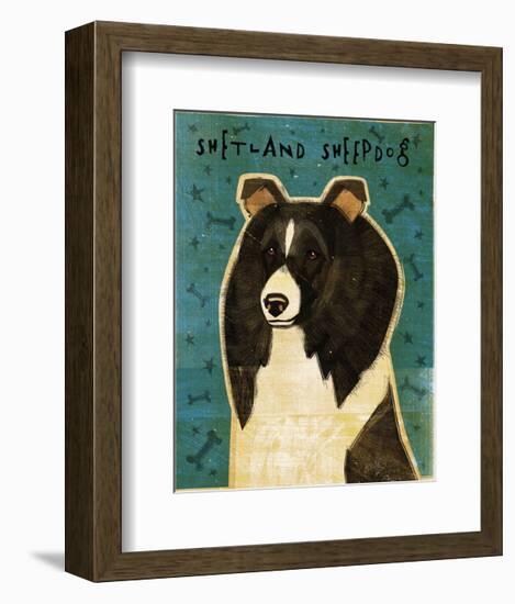 Shetland Sheepdog (Black & White)-John W^ Golden-Framed Art Print