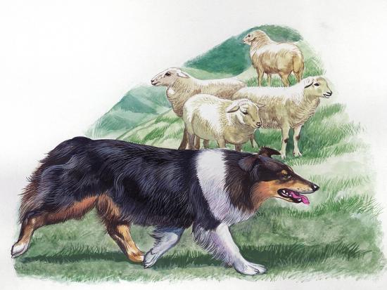 Giclee Print, , large
