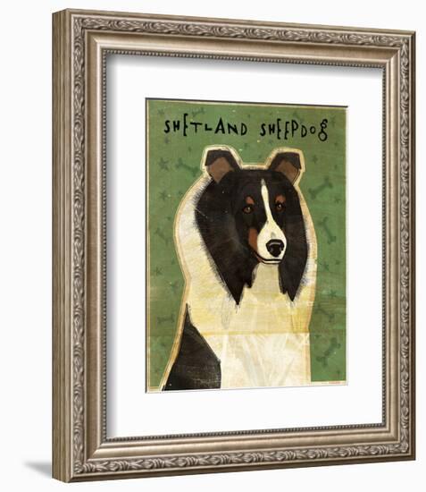 Shetland Sheepdog (Tri-Color)-John W^ Golden-Framed Art Print