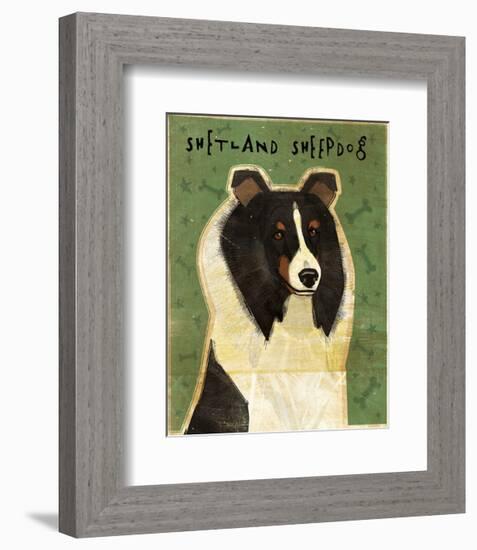Shetland Sheepdog (Tri-Color)-John W^ Golden-Framed Art Print