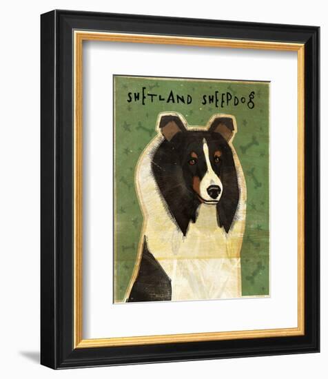 Shetland Sheepdog (Tri-Color)-John W^ Golden-Framed Art Print