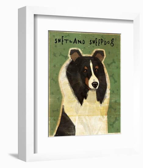 Shetland Sheepdog (Tri-Color)-John W^ Golden-Framed Art Print