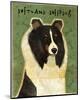 Shetland Sheepdog (Tri-Color)-John W^ Golden-Mounted Art Print