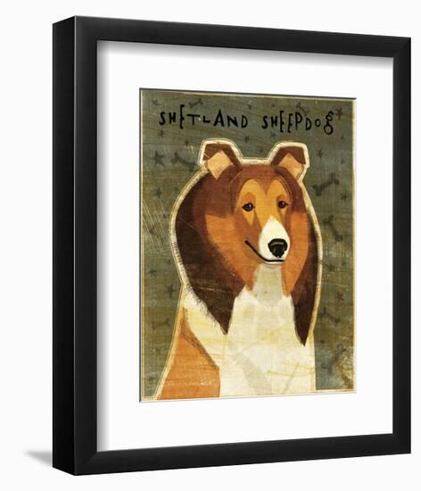 Shetland Sheepdog-John W^ Golden-Framed Art Print