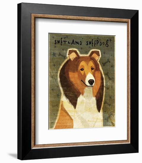 Shetland Sheepdog-John W^ Golden-Framed Art Print