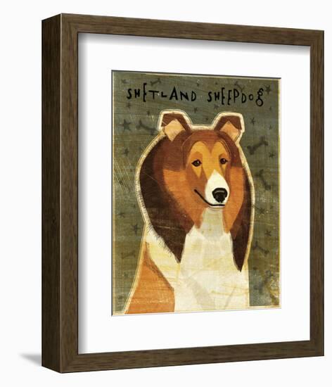 Shetland Sheepdog-John W^ Golden-Framed Art Print