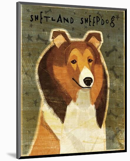 Shetland Sheepdog-John W^ Golden-Mounted Art Print