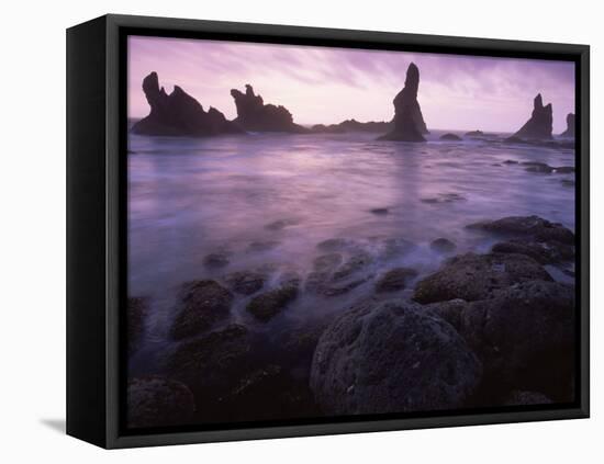 Shi Shi Beach, Olympic National Park, UNESCO World Heritage Site, Washington State, USA-Colin Brynn-Framed Premier Image Canvas