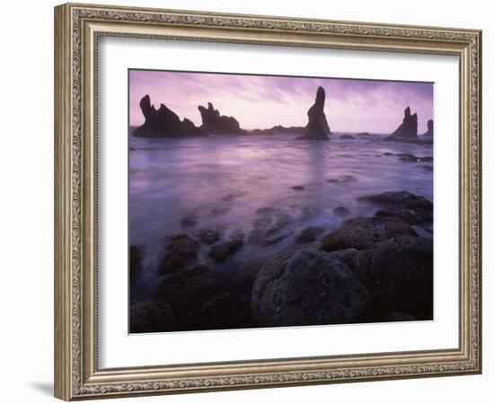 Shi Shi Beach, Olympic National Park, UNESCO World Heritage Site, Washington State, USA-Colin Brynn-Framed Photographic Print