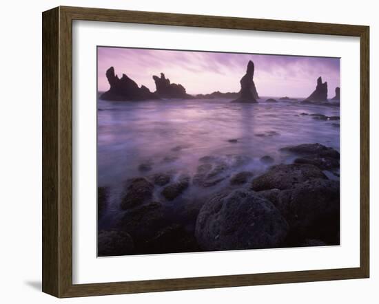 Shi Shi Beach, Olympic National Park, UNESCO World Heritage Site, Washington State, USA-Colin Brynn-Framed Photographic Print