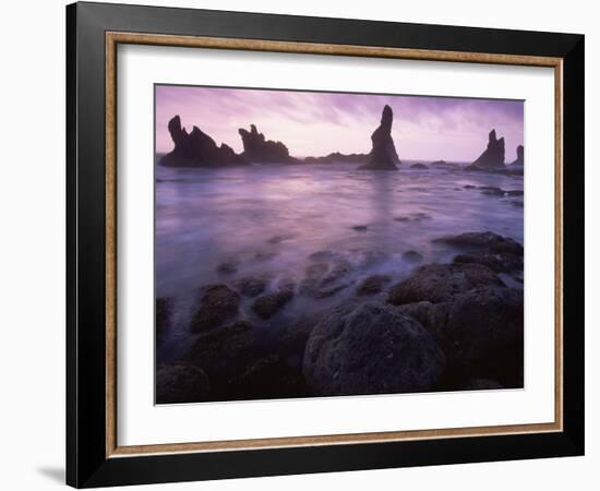 Shi Shi Beach, Olympic National Park, UNESCO World Heritage Site, Washington State, USA-Colin Brynn-Framed Photographic Print