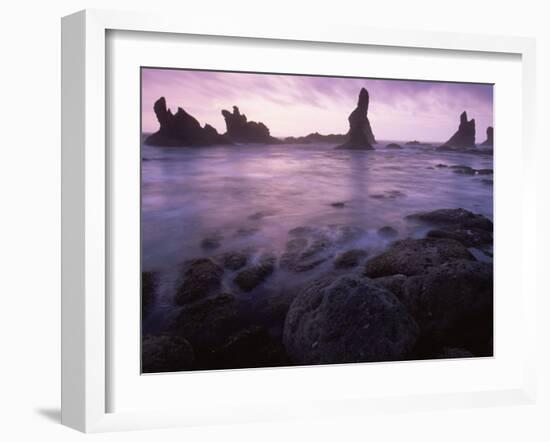 Shi Shi Beach, Olympic National Park, UNESCO World Heritage Site, Washington State, USA-Colin Brynn-Framed Photographic Print