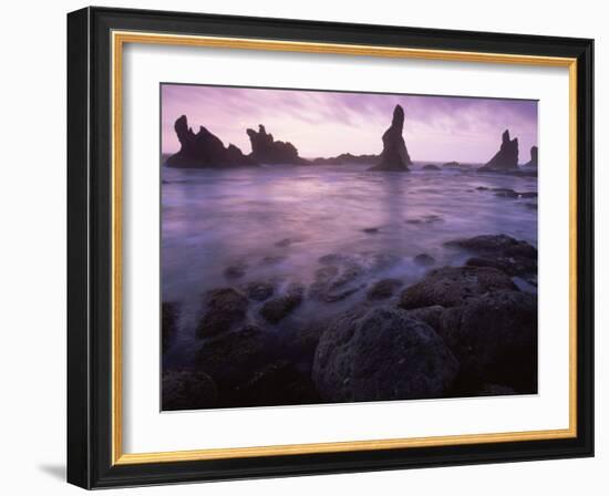 Shi Shi Beach, Olympic National Park, UNESCO World Heritage Site, Washington State, USA-Colin Brynn-Framed Photographic Print