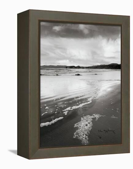 Shi Shi Beach-Alan Majchrowicz-Framed Stretched Canvas