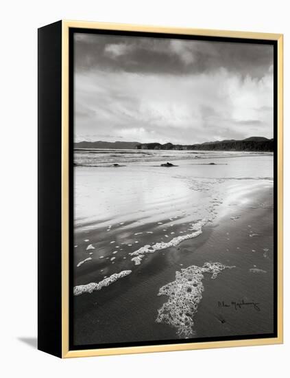 Shi Shi Beach-Alan Majchrowicz-Framed Stretched Canvas