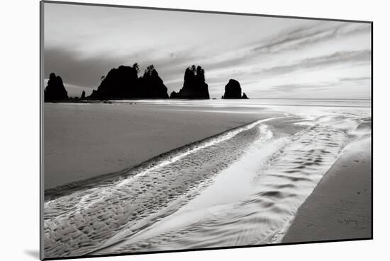 Shi Shi Point of Arches Crop-Alan Majchrowicz-Mounted Art Print