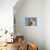 Shiba Inu Portrait-Adriano Bacchella-Photographic Print displayed on a wall