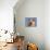 Shiba Inu Portrait-Adriano Bacchella-Mounted Photographic Print displayed on a wall