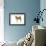 Shiba Inu-null-Framed Photographic Print displayed on a wall