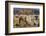 Shibam, Wadi Hadhramawt, Yemen-Peter Adams-Framed Photographic Print