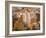 Shibam, Wadi Hadramaut, Seiyun District, Yemen-Michele Falzone-Framed Photographic Print