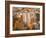 Shibam, Wadi Hadramaut, Seiyun District, Yemen-Michele Falzone-Framed Photographic Print