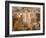 Shibam, Wadi Hadramaut, Seiyun District, Yemen-Michele Falzone-Framed Photographic Print