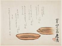 Brown Earthenware Basins, 1887-Shibata Zeshin-Giclee Print