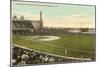 Shibe Park, Ball Grounds, Philadelphia, Pennsylvania-null-Mounted Art Print