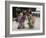 Shichi-Go-San Festival, Japan-null-Framed Photographic Print