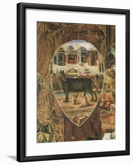 Shield Depicting Romulus-null-Framed Giclee Print