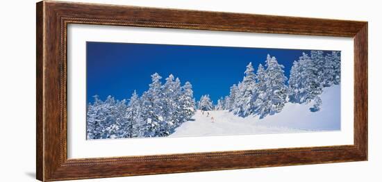 Shiga Kogen Nagano Japan-null-Framed Photographic Print