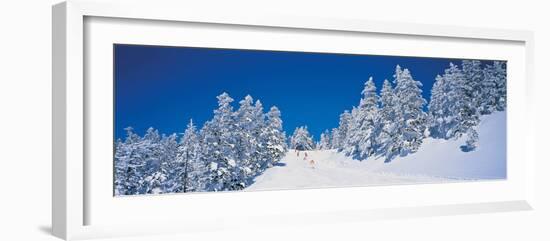 Shiga Kogen Nagano Japan-null-Framed Photographic Print