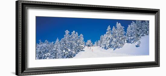 Shiga Kogen Nagano Japan-null-Framed Photographic Print